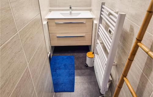 ein kleines Bad mit einem Waschbecken und einem blauen Teppich in der Unterkunft Cozy Apartment In Royan With Wifi in Royan