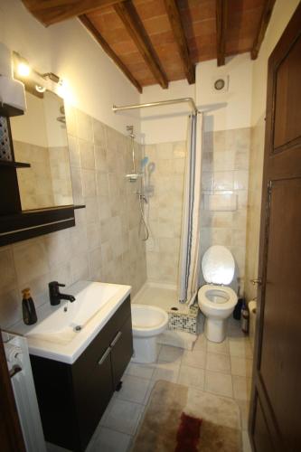 a bathroom with a sink and a toilet and a shower at Lo Scricciolo in Montecastelli Pisano