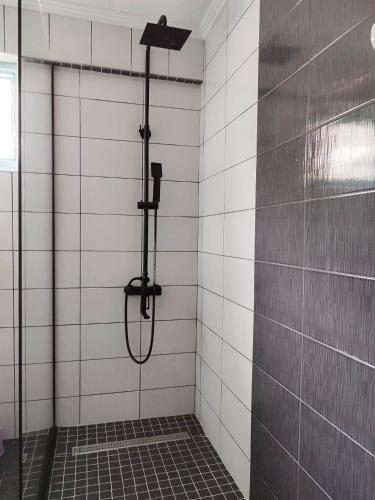 Apartment with garden Hanja tesisinde bir banyo