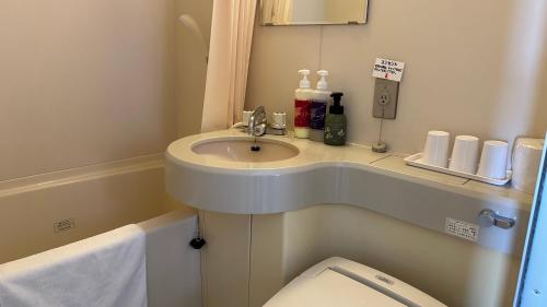 a small bathroom with a sink and a toilet at Hotel Tsukuba Hills Gakuen-odori in Tsukuba