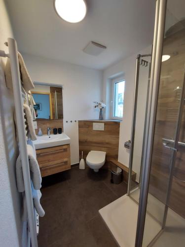 ein Bad mit einem WC, einem Waschbecken und einer Dusche in der Unterkunft Ferienwohnung Wiesenschneider´s in Freiensteinau