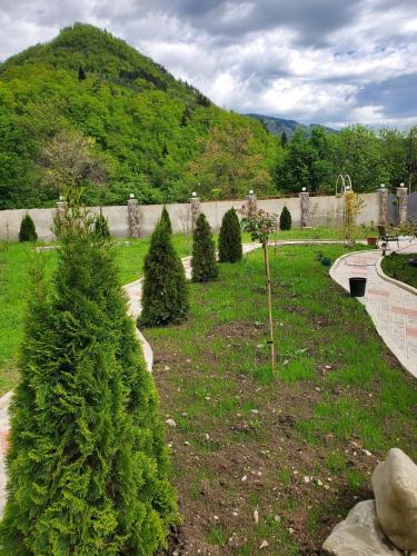 a garden with christmas trees in a yard at DIOSKURIA BORJOMi in Borjomi