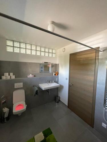 La salle de bains est pourvue de toilettes, d'un lavabo et d'une douche. dans l'établissement Ubytování U Vinice, à Mělník