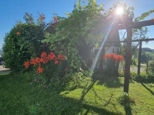 a garden with red flowers and a fence at Wohlfühloase am Trausdorfberg mit Sauna, Whirlpool und Panorama in Sankt Marein bei Graz
