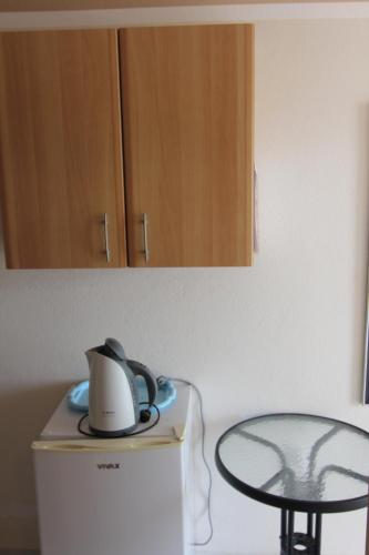 Dapur atau dapur kecil di Apartments in villa Viktoria