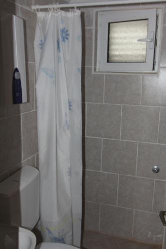 Bilik mandi di Apartments in villa Viktoria