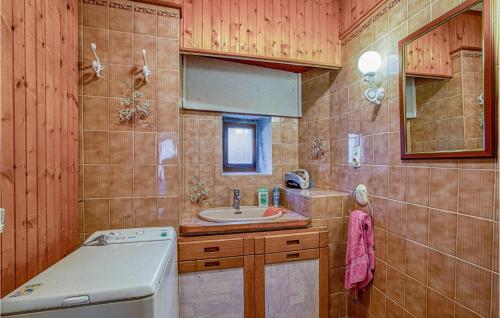 聖謝利多布拉克的住宿－2 Bedroom Lovely Apartment In Saint-chely-daubrac，一间带水槽和洗衣机的浴室