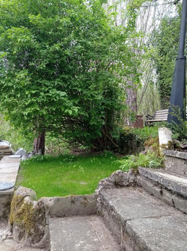 a garden with a green lawn and a tree at le chalet des remparts in Aywaille