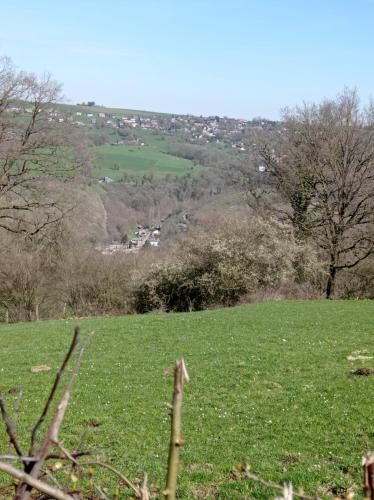 a field of green grass with trees in the background at le chalet des remparts in Aywaille