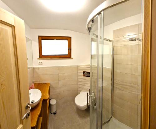 a bathroom with a shower and a toilet and a sink at Bled Straza House in Bled