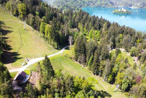 an aerial view of a park with a lake at Bled Straza House in Bled