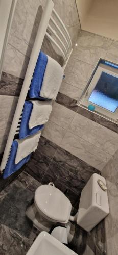 ein Bad mit einem WC und einem Pool in der Unterkunft Azra Apartman in Harkány