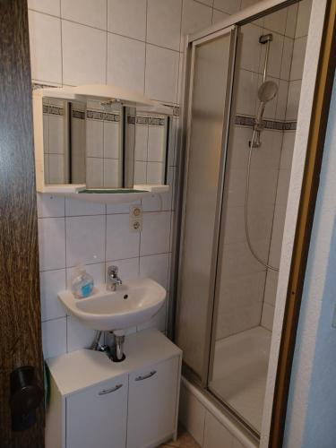 La salle de bains est pourvue d'un lavabo et d'une douche. dans l'établissement Ferienwohnung Viola, à Meissen