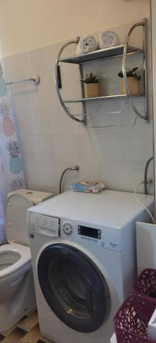 a washing machine in a bathroom with a toilet at DLX Apartman Adriatics in Herceg-Novi