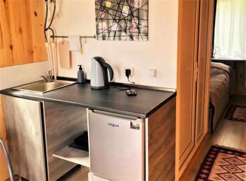 Kuchyň nebo kuchyňský kout v ubytování Tiny House Kazbegi