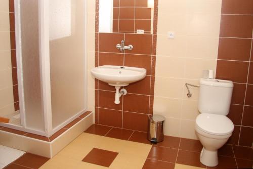 een badkamer met een toilet en een wastafel bij Apartmán Husova 1.patro in Jičín