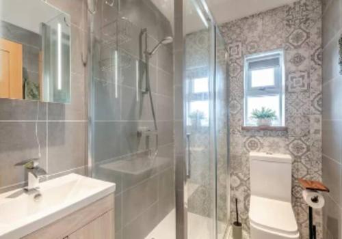 a bathroom with a shower and a toilet and a sink at Covehithe House-Coastal luxury- sleeps 12-with huge swimspa! in Wrentham