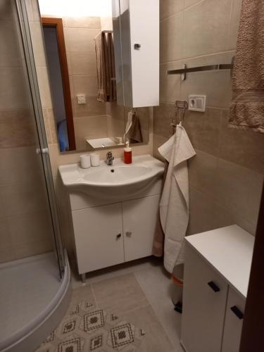 a small bathroom with a sink and a shower at Karpatia Vendeghaz 1201 Budapest in Budapest