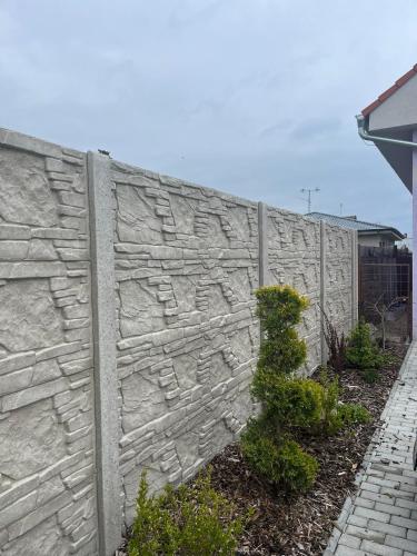 a stone wall with a plant in front of it at BeKiVi apartmány in Dunajská Streda