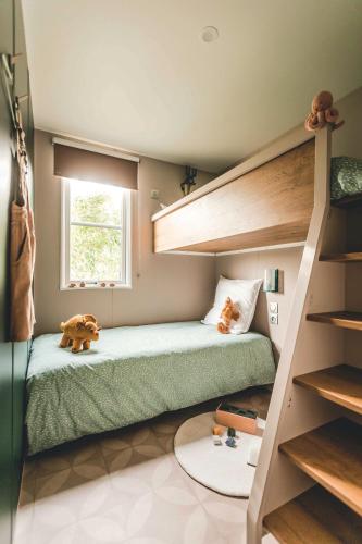 - une chambre avec des lits superposés et un chien posé à l'étage dans l'établissement Camping Kost Ar Moor, à Fouesnant