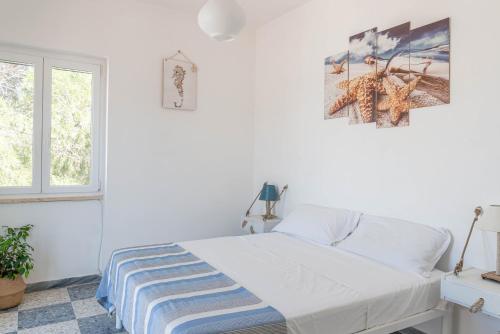 ein weißes Schlafzimmer mit einem Bett und einem Fenster in der Unterkunft ~ ~ Brezza Mediterranea ~ ~ in Ponza