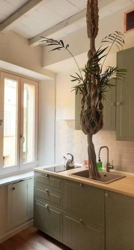 eine Küche mit einer Spüle und einer Topfpflanze auf der Theke in der Unterkunft La Plume in Parma
