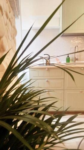 ein Badezimmer mit einem Waschbecken und einer Topfpflanze in der Unterkunft La Plume in Parma