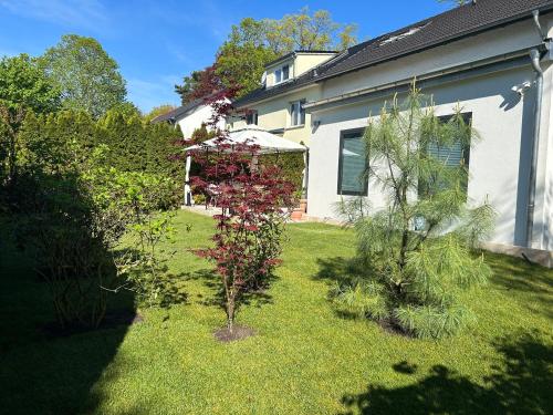 a garden with a small tree in the yard at Westendperle am Olympiastadion in Berlin