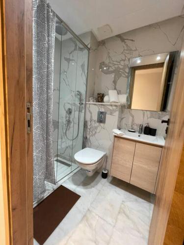 La salle de bains est pourvue d'une douche, de toilettes et d'un lavabo. dans l'établissement Studio de luxe, en plein centre de Casablanca, à Casablanca