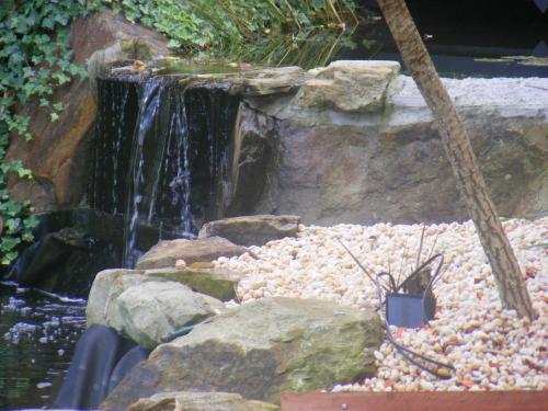 a waterfall in a garden with rocks and water at Weeroona Bed And Breakfast in Rye