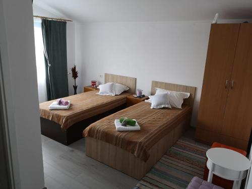 pokój hotelowy z 2 łóżkami i ręcznikami w obiekcie Casa David w mieście Dunavăţu de Sus