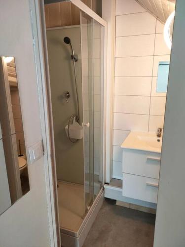 une salle de bain avec douche et lavabo dans l'établissement Studio meublé - Arpajon Eglise, à Arpajon