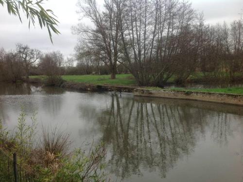a river with a reflection of trees in the water at Tranquillitude au Moulin Bouquet in La Chapelle-aux-Chasses