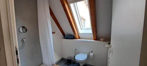 a bathroom with a toilet and a window at Monte Maurizio in Röthenbach an der Pegnitz