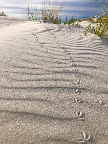 a pair of footprints in the sand on a beach at Case Vacanze Il Sogno 2 in Porto Pino