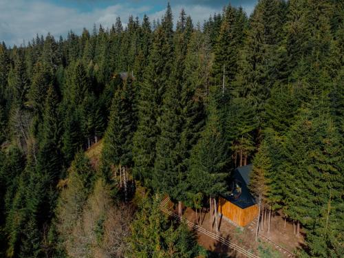 an aerial view of a house in the middle of a forest at Hambar Belis in Beliş