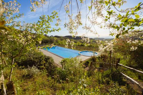Bazén v ubytování Agriturismo Il Serraglio nebo v jeho okolí