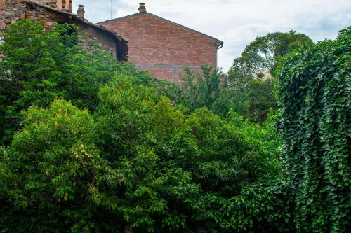 a brick building behind some trees and a brick hedge at Blanch 1 in Tremp