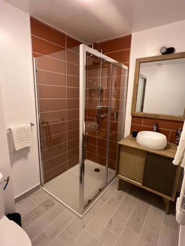 uma casa de banho com um chuveiro e um lavatório. em Hotel Restaurant Les Paquebots em Port-Vendres