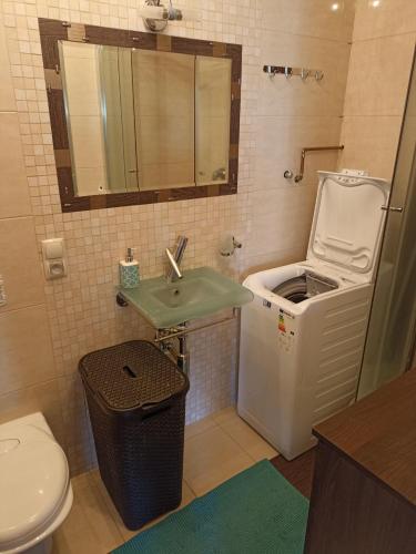 a bathroom with a sink and a toilet at Kaja Apartament 52m2 in Pruszcz Gdański