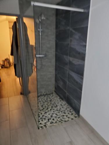 une douche avec une porte vitrée dans une salle de bain dans l'établissement proche circuit 24h du mans Maison 3 chambres, au Mans