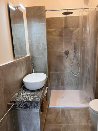y baño con ducha, lavabo y aseo. en Appartamento Il Picchio Verde, en Altopascio