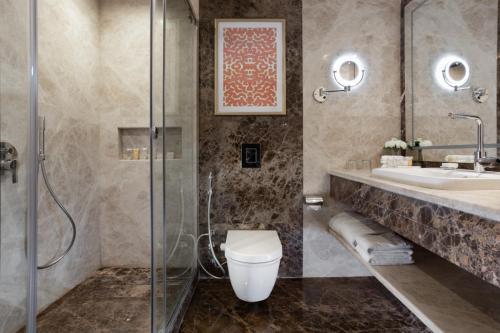 a bathroom with a shower and a toilet and a sink at Concorde El Salam Cairo Hotel & Casino in Cairo