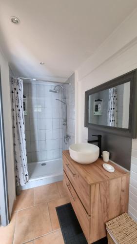 une salle de bain avec un lavabo blanc et une douche dans l'établissement les gites d'EVANE 