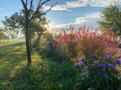 Zahrada ubytování Agriturismo Redó