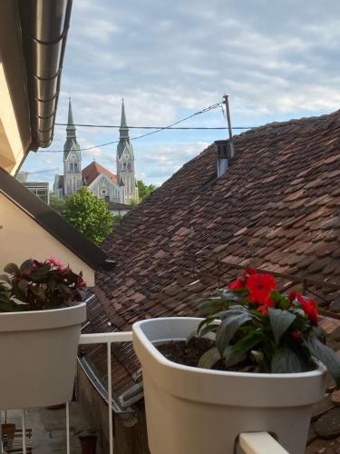 a balcony with a flower pot on a roof at Krakovska apartments in Ljubljana