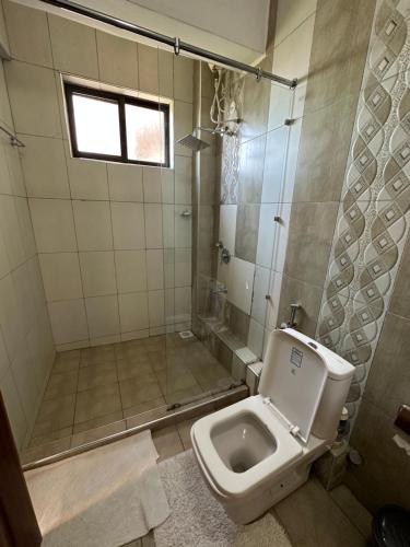 a bathroom with a toilet and a shower at Nyachaba Apartment in Kisumu