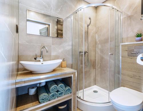 a bathroom with a shower and a sink and a toilet at Loft House Rozewie in Jastrzębia Góra