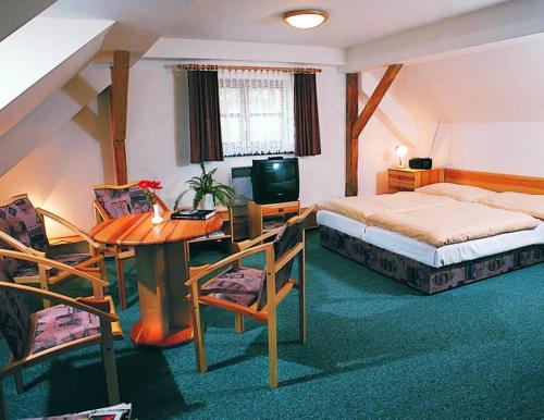 a bedroom with a bed and a desk and a television at Hotel na Jezeře in Horní Planá