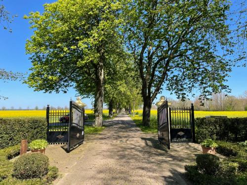 a gate leading to a rapeseed field with a tree at Holiday Home Altes Taubenhaus by Interhome in Zarrentin